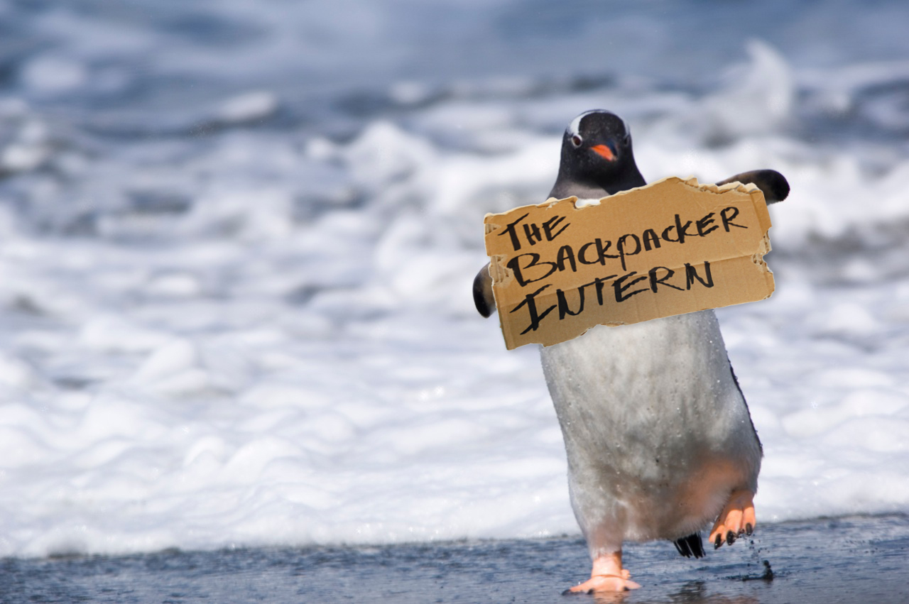 TheBackpackerIntern+Antarctica Internship